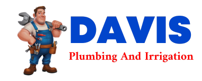 Trusted plumber in THROCKMORTON